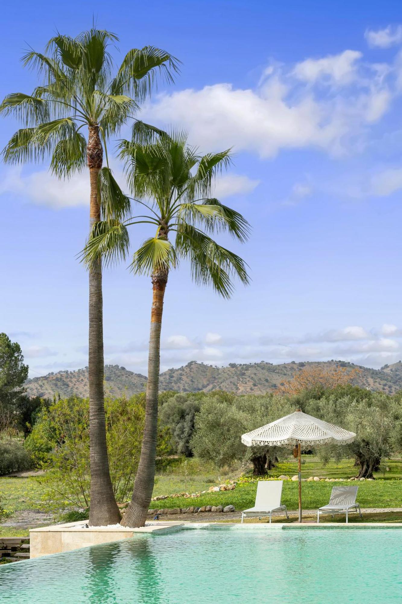 Finca La Familia Naranja Coín Εξωτερικό φωτογραφία